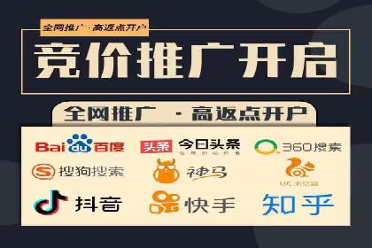 行业专家解析SEM代运营成功案例